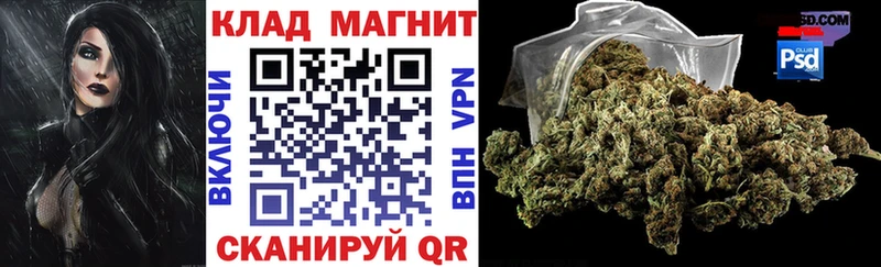 Магазины продажи наркотиков Стародуб A PVP Cocaine АМФ Каннабис Мефедрон