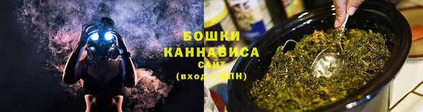 бошки Ладушкин