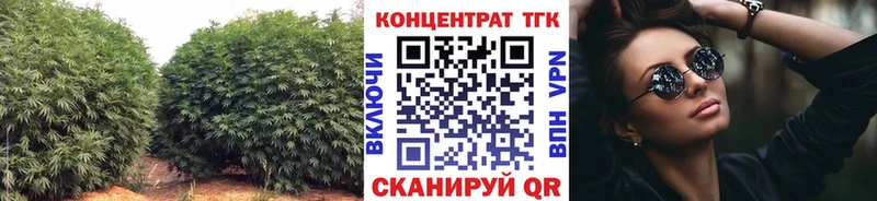 Дистиллят ТГК концентрат  сколько стоит  Стародуб 