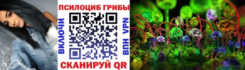 наркотики  Стародуб  гидра рабочий сайт  Галлюциногенные грибы Psilocybine cubensis 