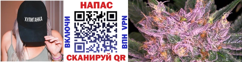 ссылка на мегу как войти Стародуб Каннабис индика